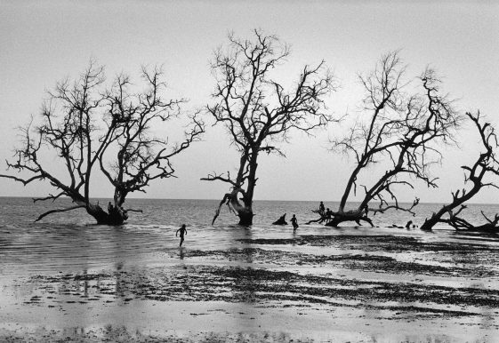 jean-noel-de-soye-madagascar-galerie-in-camera