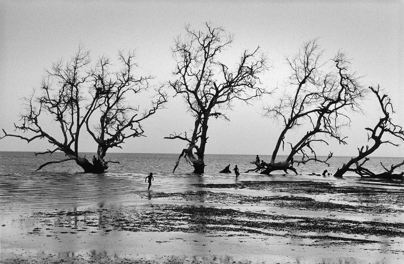 jean-noel-de-soye-madagascar-galerie-in-camera