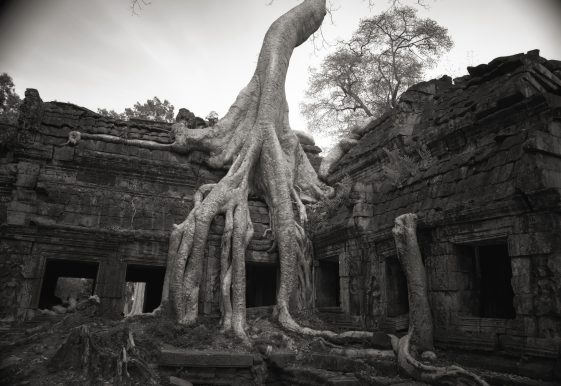 kenro-izu-sacred-places-in-camera-galerie