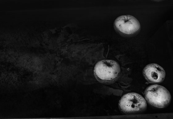 alexandra-catiere-apples-galerie-in-camera