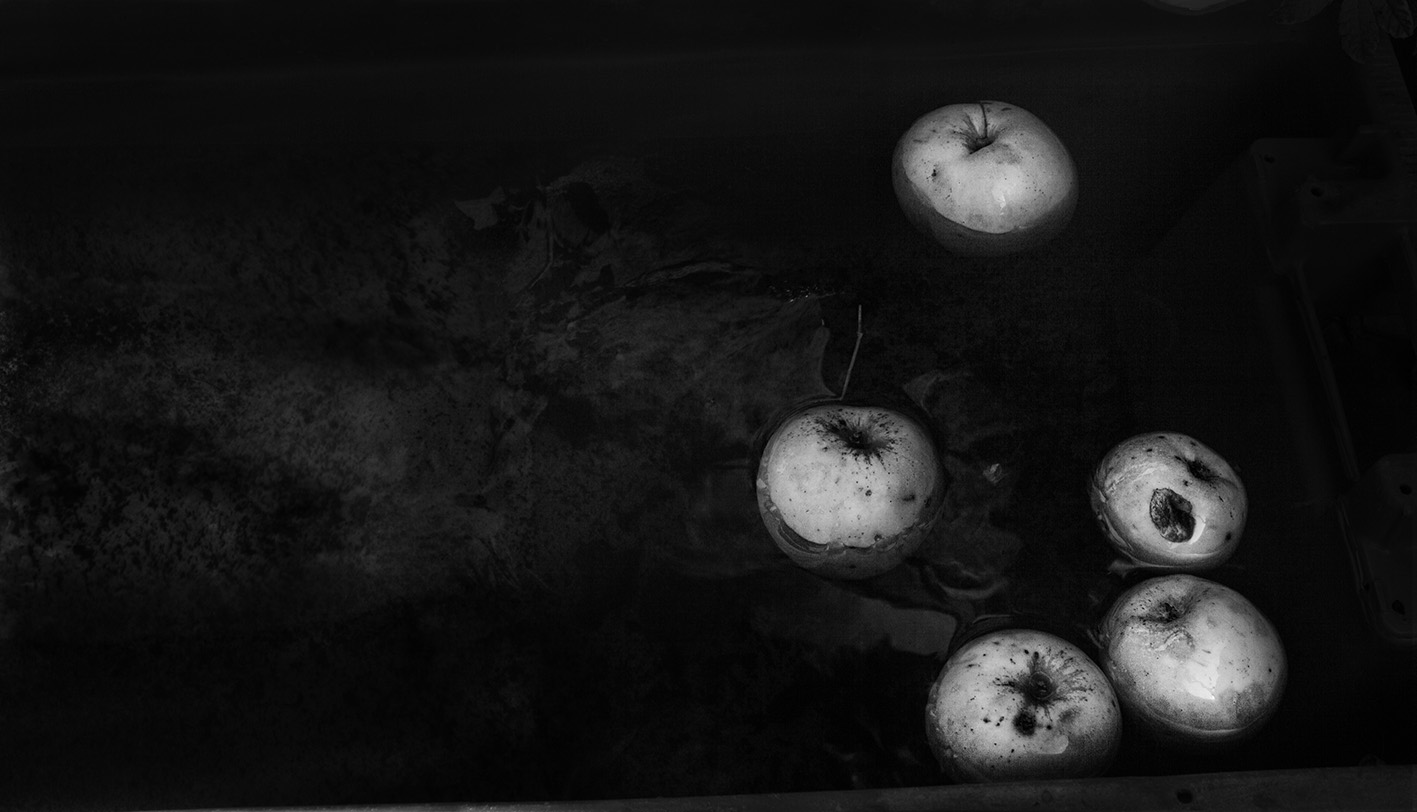 alexandra-catiere-apples-galerie-in-camera